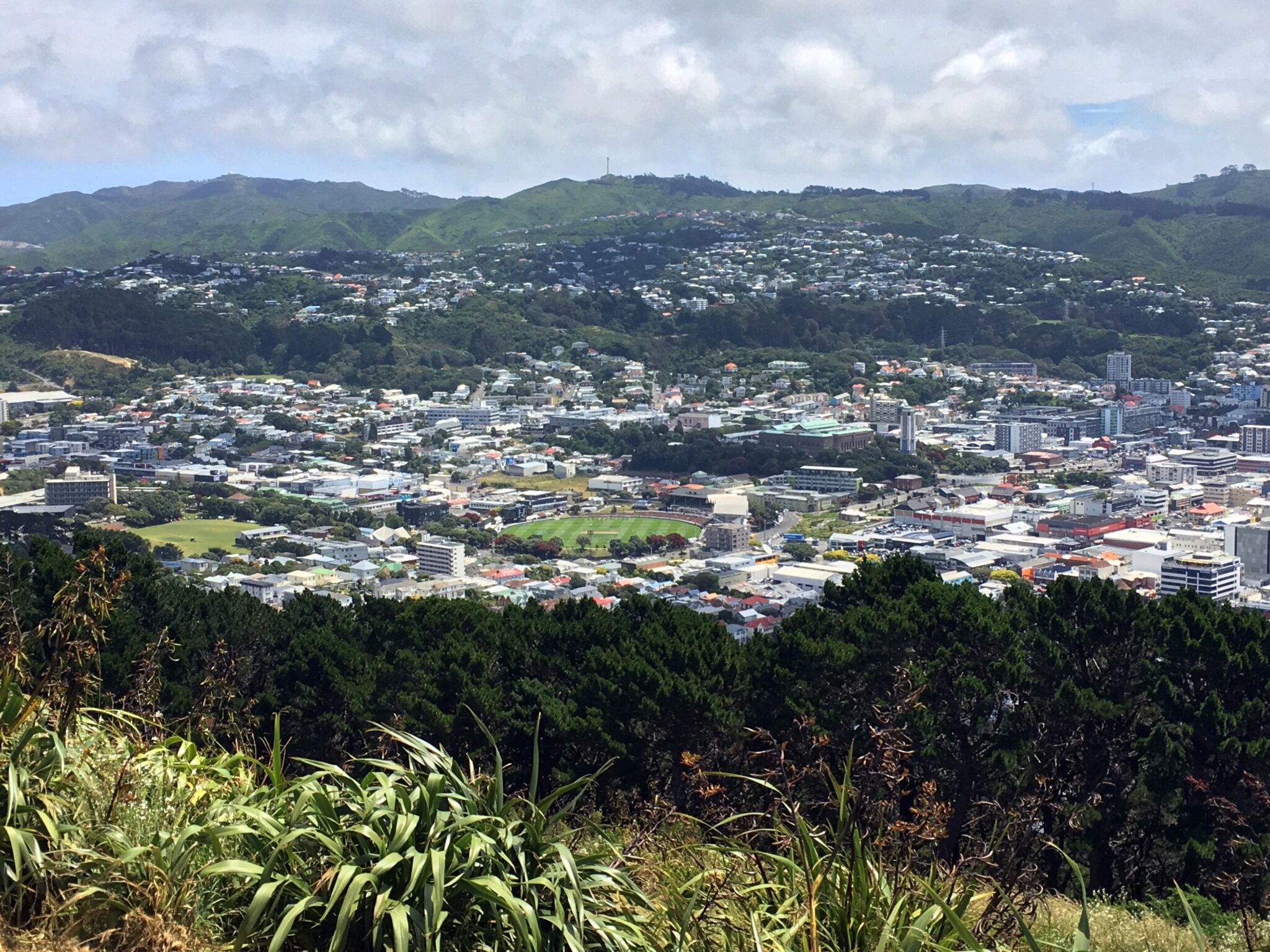 Basin Reserve as seen from Mount Victoria