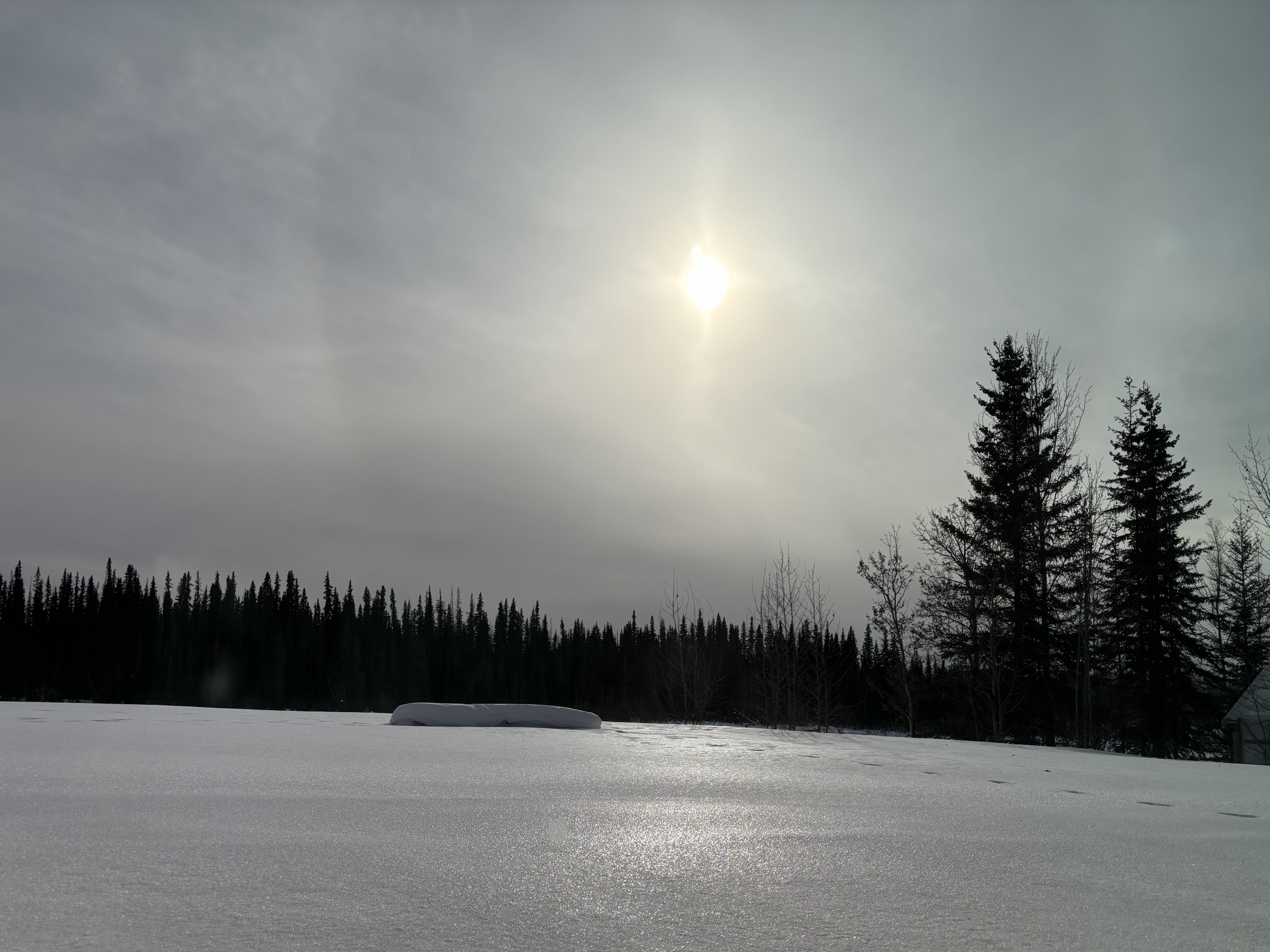 Sun halo observed from Lower Post, BC